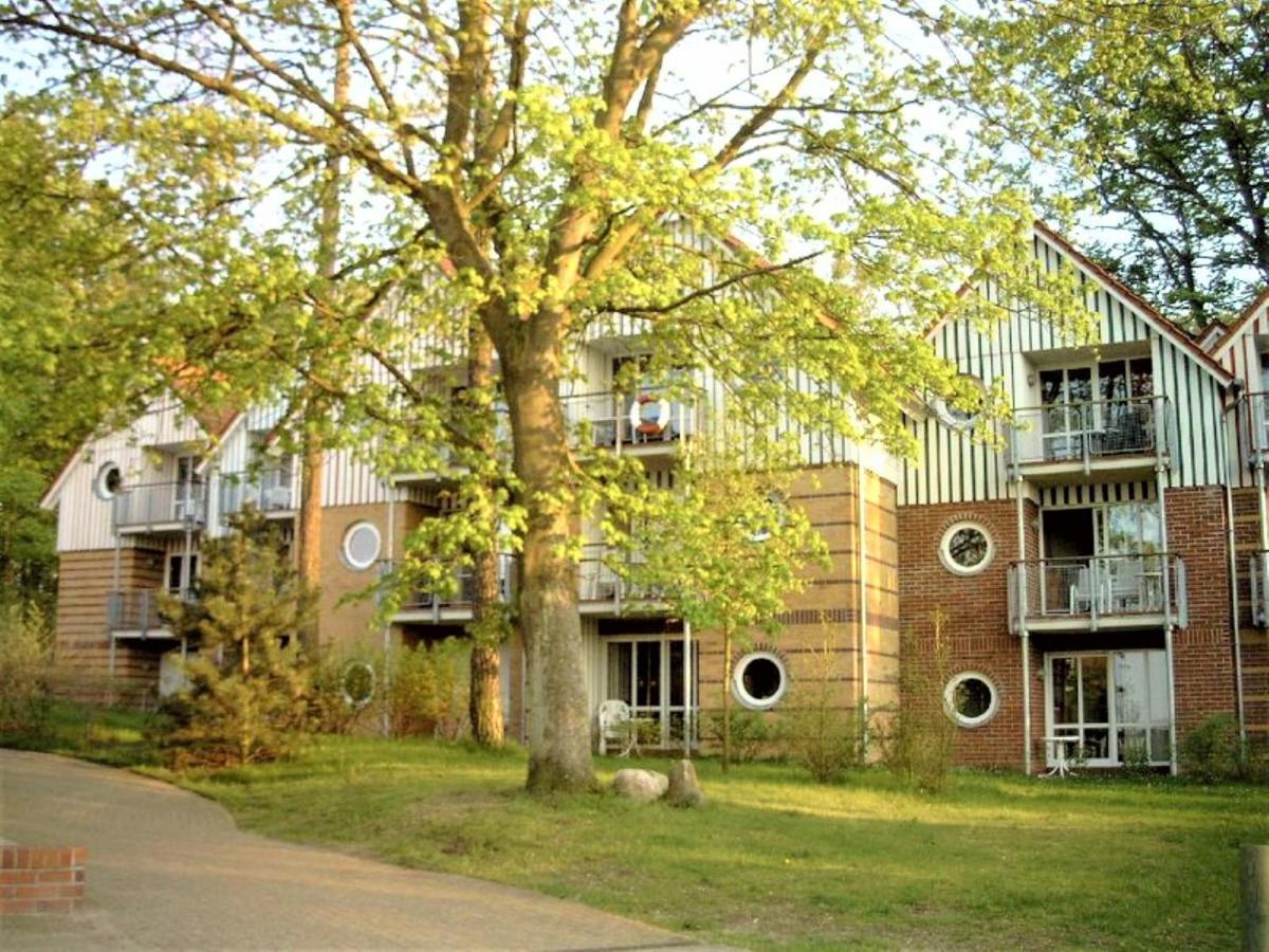 Ferienwohnung Seepferdchen Direkt Am Strand 科瑟罗 外观 照片